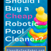 Buy a Cheap Robotic Pool Cleaner Duck Toy